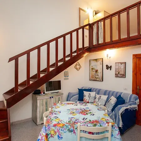 Fiori Bilo San Teodoro (Sardinia)